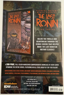 Teenage Mutant Ninja Turtles vs. Street Fighter #1C VF 2023 IDW