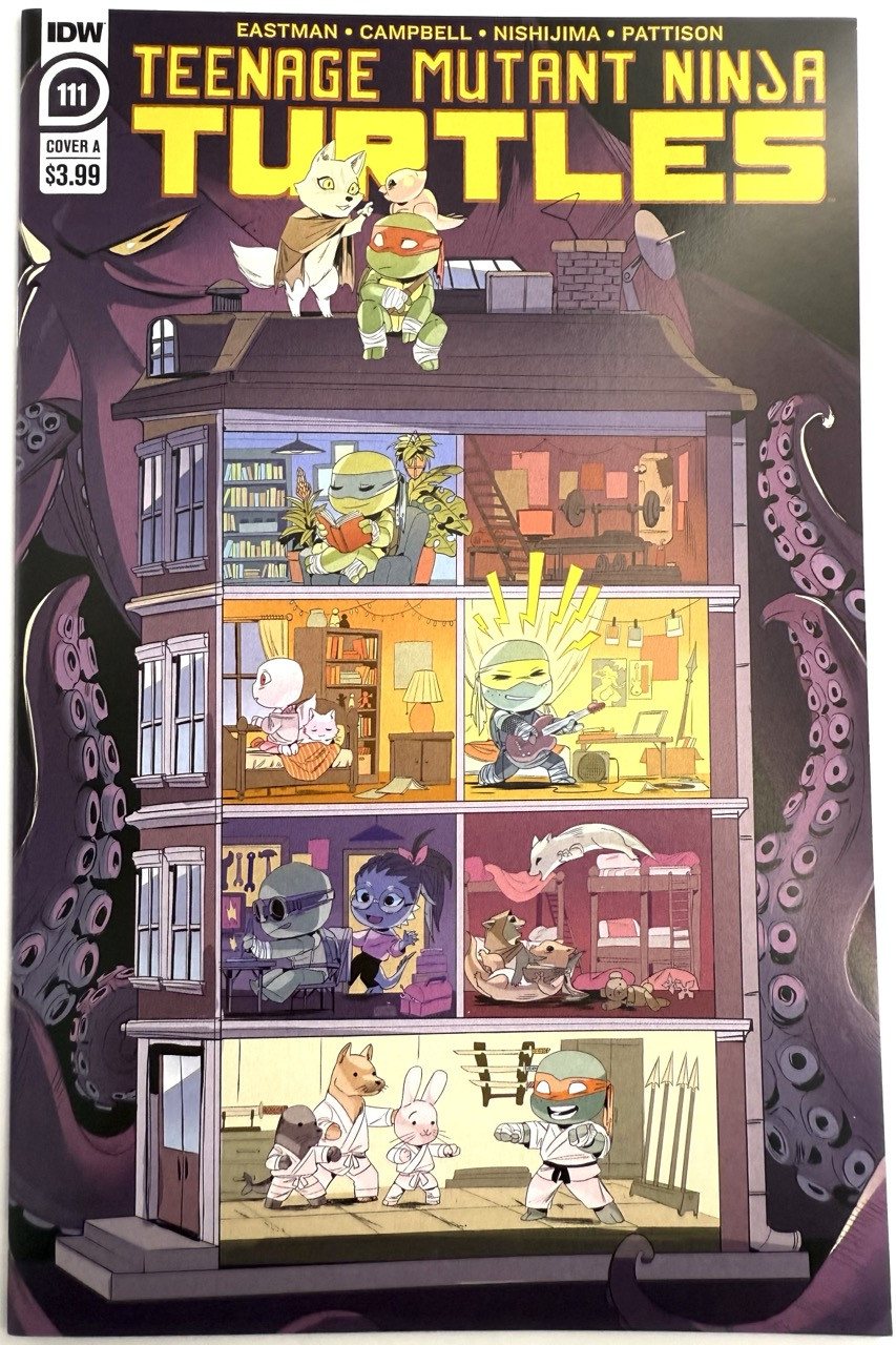 Teenage Mutant Ninja Turtles (IDW) 111A FN 2020
