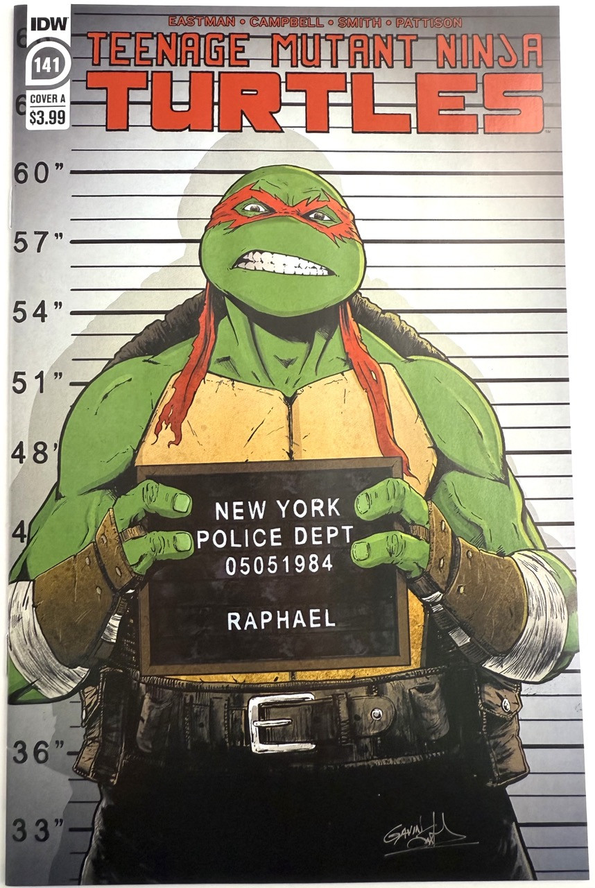 Teenage Mutant Ninja Turtles (IDW) 141A VF 2024